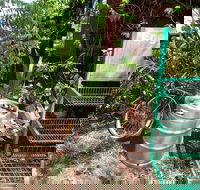 Larrimah Pink Panther Hotel