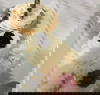 The Archie Secret Cafe - eAccommodation