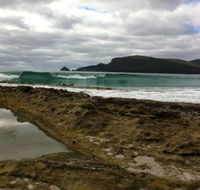 Bruny Island Berry Farm - eAccommodation