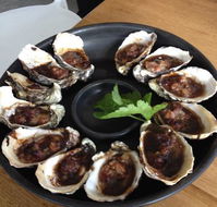 Get Shucked Oyster - eAccommodation