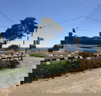 Penguin  Pardalote Coffee House - eAccommodation