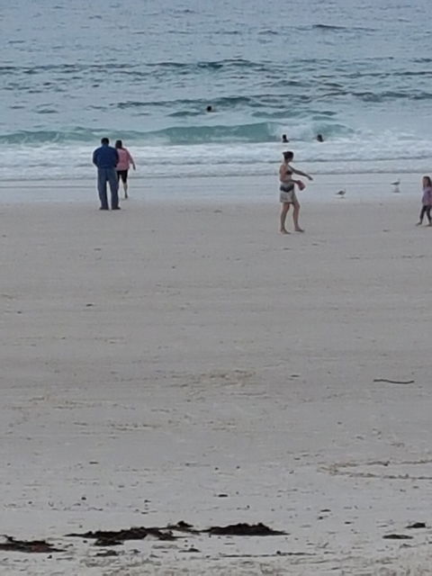 Sweet-Ness At The Sea - eAccommodation 2