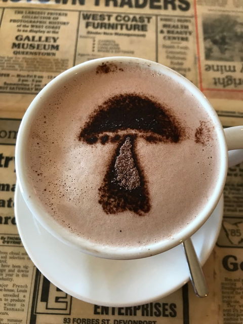 The Mushroom At Waratah - eAccommodation 9