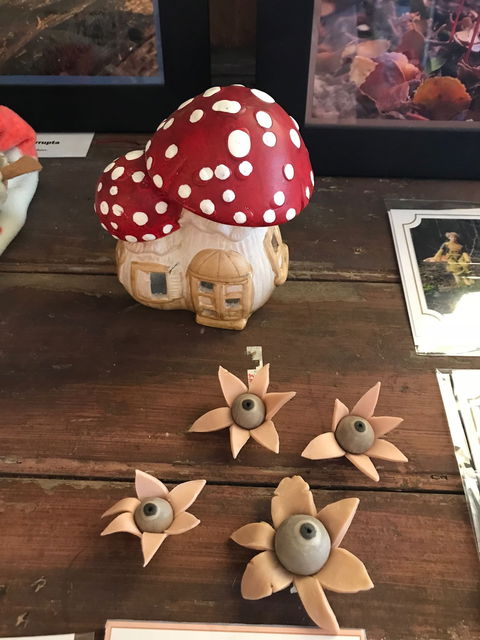 The Mushroom At Waratah - eAccommodation 2