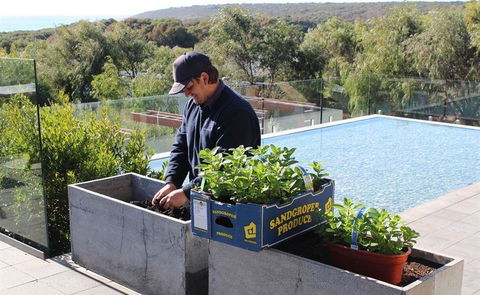 Other Side Of The Moon Restaurant - eAccommodation 5