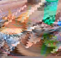 Nando's Ellenbrook - eAccommodation