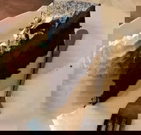 Dome - eAccommodation