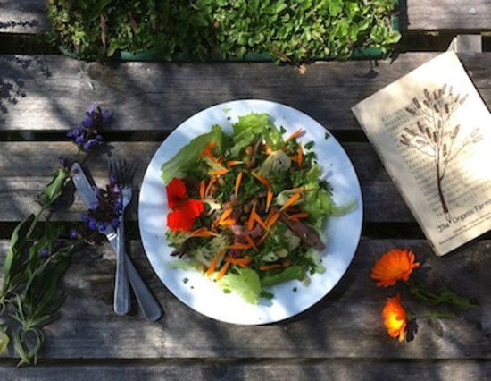 Margaret River WA eAccommodation