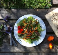 Fair Harvest Farm Cafe - eAccommodation