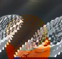 The Daily Grind Cafe