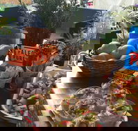 Island fruit Barn - eAccommodation