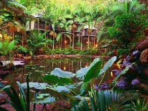 Daintree Eco Lodge & Spa - eAccommodation 0