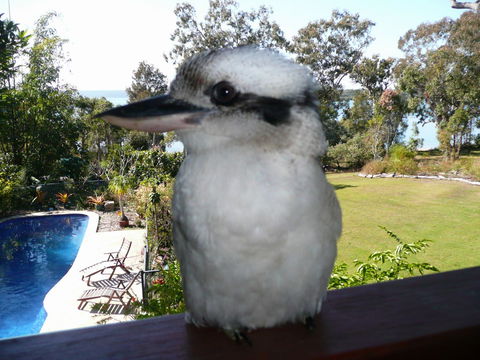 Yarrandabbi Dreaming Boutique B&B - eAccommodation 2