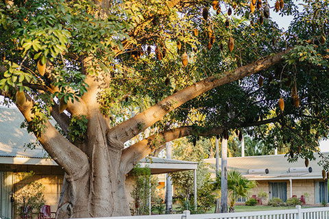 Kimberley Grande Resort & Conf Ctr - eAccommodation 0