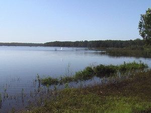 Cabarita Lake Apartments - eAccommodation 2