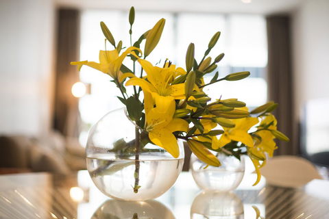 KUI - Manhattan Apartments - eAccommodation 0