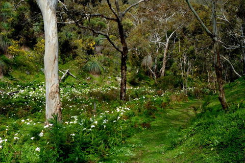 Lure Bed And Breakfast - eAccommodation 17