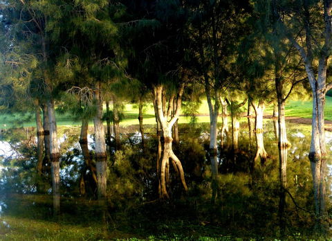 Lure Bed And Breakfast - eAccommodation 18