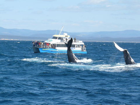 Heritage House Motel & Units - eAccommodation 28