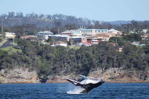 Heritage House Motel & Units - eAccommodation 27