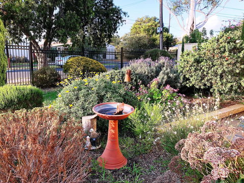 Beautiful Garden House - eAccommodation 21