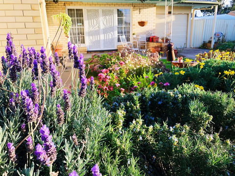 Beautiful Garden House - eAccommodation 9