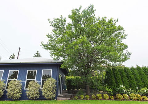 S T U D I O 22 Peaceful Retreat With Garden Views - eAccommodation 11