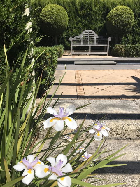 S T U D I O 22 Peaceful Retreat With Garden Views - eAccommodation 13