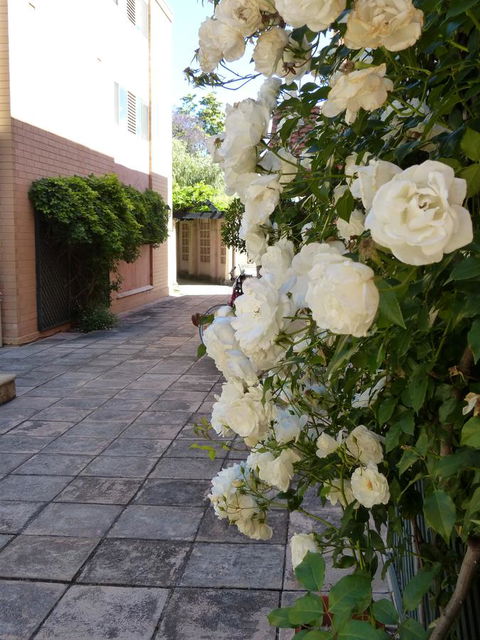 Monaco Court Apartment Adelaide - eAccommodation 19