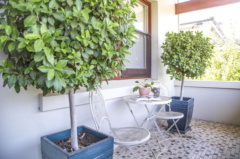 Mataro Cottage - eAccommodation 2