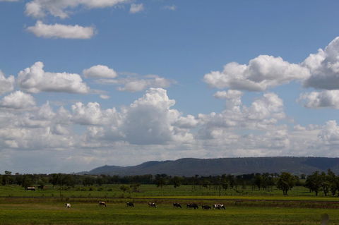 Isis Motel Scone - eAccommodation 5