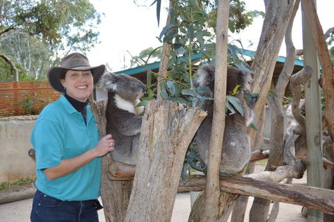 Lazy Days Cottage - Victor Harbor - eAccommodation 1