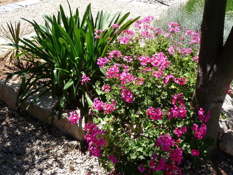 Country Bakehouse Accommodation - eAccommodation 18