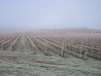 Vineyard Cottage BnB - eAccommodation 12