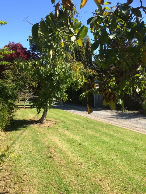 Vineyard Cottage BnB - eAccommodation 17