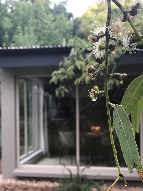 Adelaide Hills Retreats - eAccommodation 9