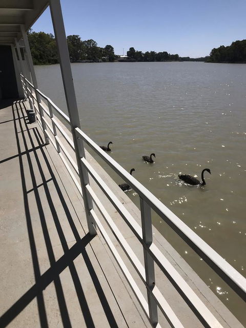 Murray River Queen - eAccommodation 7