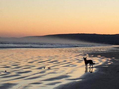 Goolwa Marinerâ€™s Cottage - Free Wifi And Pet Friendly - Centrally Located In Historic Region - eAccommodation 35
