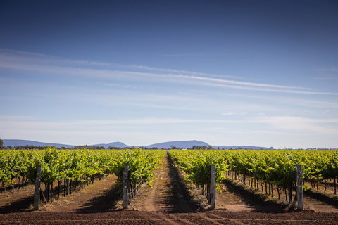 Quest Griffith - eAccommodation 14