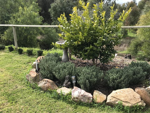 Adagio In Auburn - eAccommodation 18