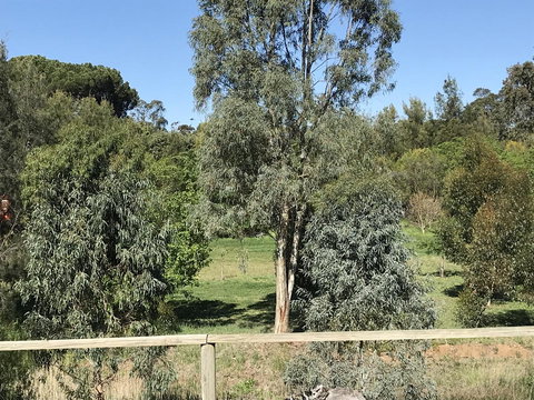 Adagio In Auburn - eAccommodation 25