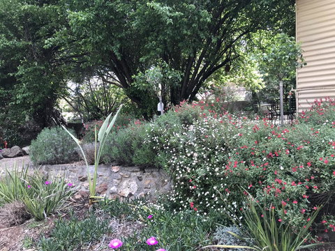 Adagio In Auburn - eAccommodation 10