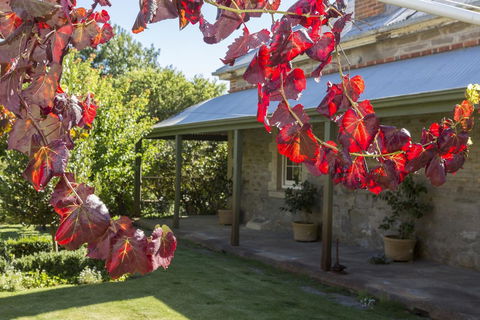 Grand Cru Estate Homestead - eAccommodation 1