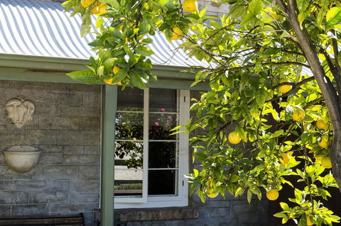 Grand Cru Estate Homestead - eAccommodation 10