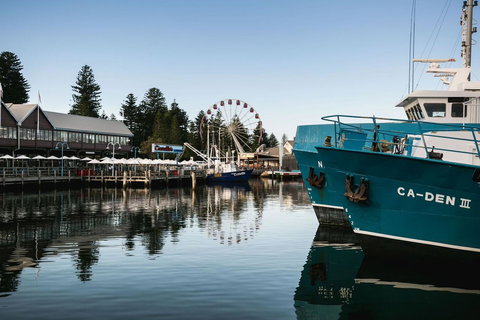 Oceanside 23 - eAccommodation 25