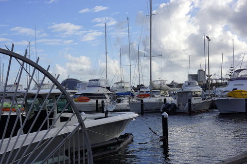 Oceanside 23 - eAccommodation 24