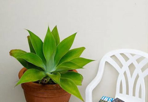 Sea & Soul Beachside Apartments - eAccommodation 9