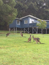 Book Denmark Accommodation Vacations eAccommodation eAccommodation