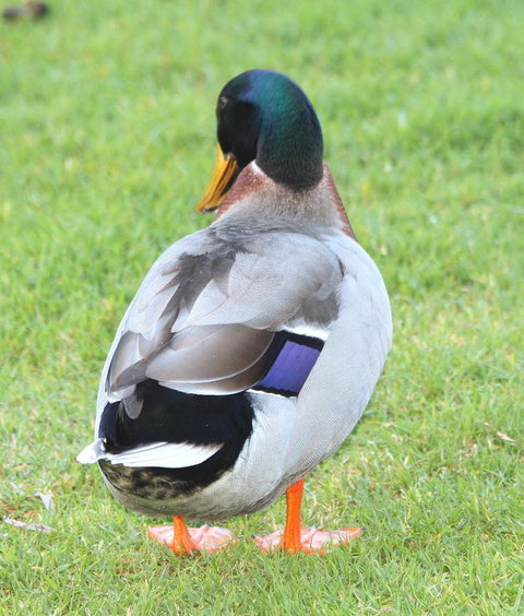 Riverview Tourist Park - eAccommodation 26