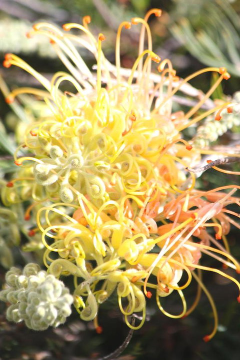 Riverview Tourist Park - eAccommodation 37